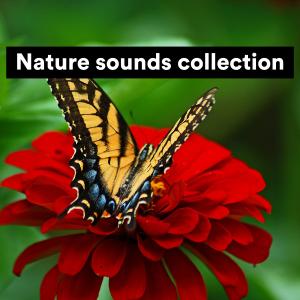 Album Nature sounds collection oleh Sounds Of The Earth