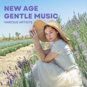 Album New Age Gentle Music from Various