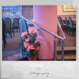ดาวน์โหลดและฟังเพลง Suddenly พร้อมเนื้อเพลงจาก Piano:el
