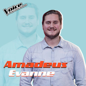 收聽Amadeus Evanne的You Are The Reason (Fra TV-Programmet "The Voice")歌詞歌曲