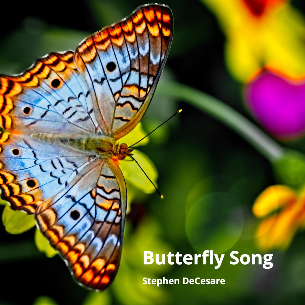 Butterfly Song