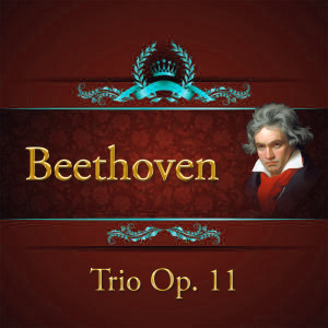 Album Beethoven, Trio Op. 11 from Zoltán Kocsis