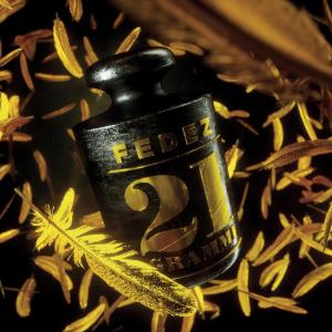 ดาวน์โหลดและฟังเพลง 21 grammi พร้อมเนื้อเพลงจาก Fedez