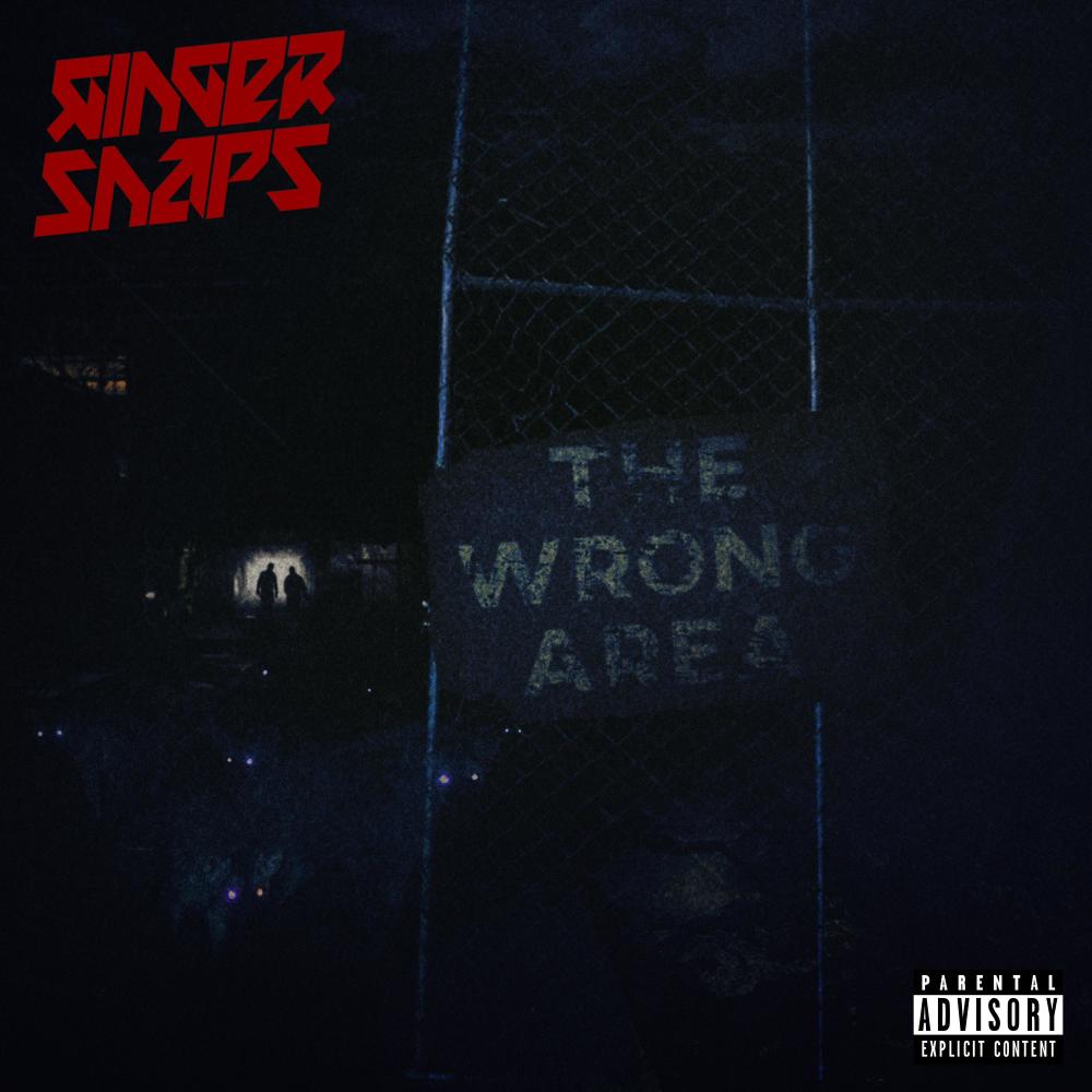 The Wrong Area (instrumental) (Instrumental)