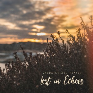 2scratch的專輯Lost in Echoes