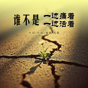 Album 谁不是一边痛着一边活着 from 风哥