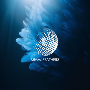 Listen to Miami Feathers song with lyrics from Bluet