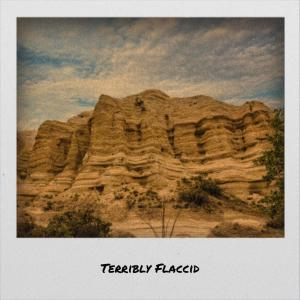 Various的专辑Terribly Flaccid