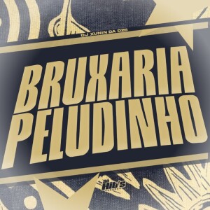 DJ XUNIN DA DZ6的專輯Bruxaria Peludinho (Explicit)