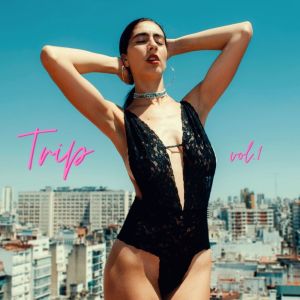 Various Artists的专辑Trip, vol. 1