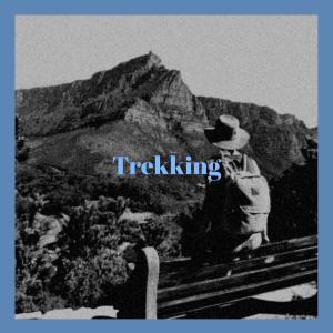 Listen to Spike Cet song with lyrics from Adea Woro