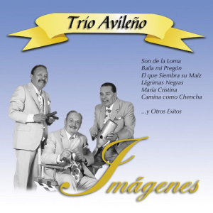 ดาวน์โหลดและฟังเพลง Camina como Chencha พร้อมเนื้อเพลงจาก Trio Avileo