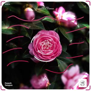 Listen to Tempus song with lyrics from Pawoh