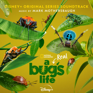 อัลบัม A Real Bug's Life (Original Series Soundtrack) ศิลปิน Mark Mothersbaugh