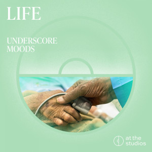 Mr Blue的專輯Life