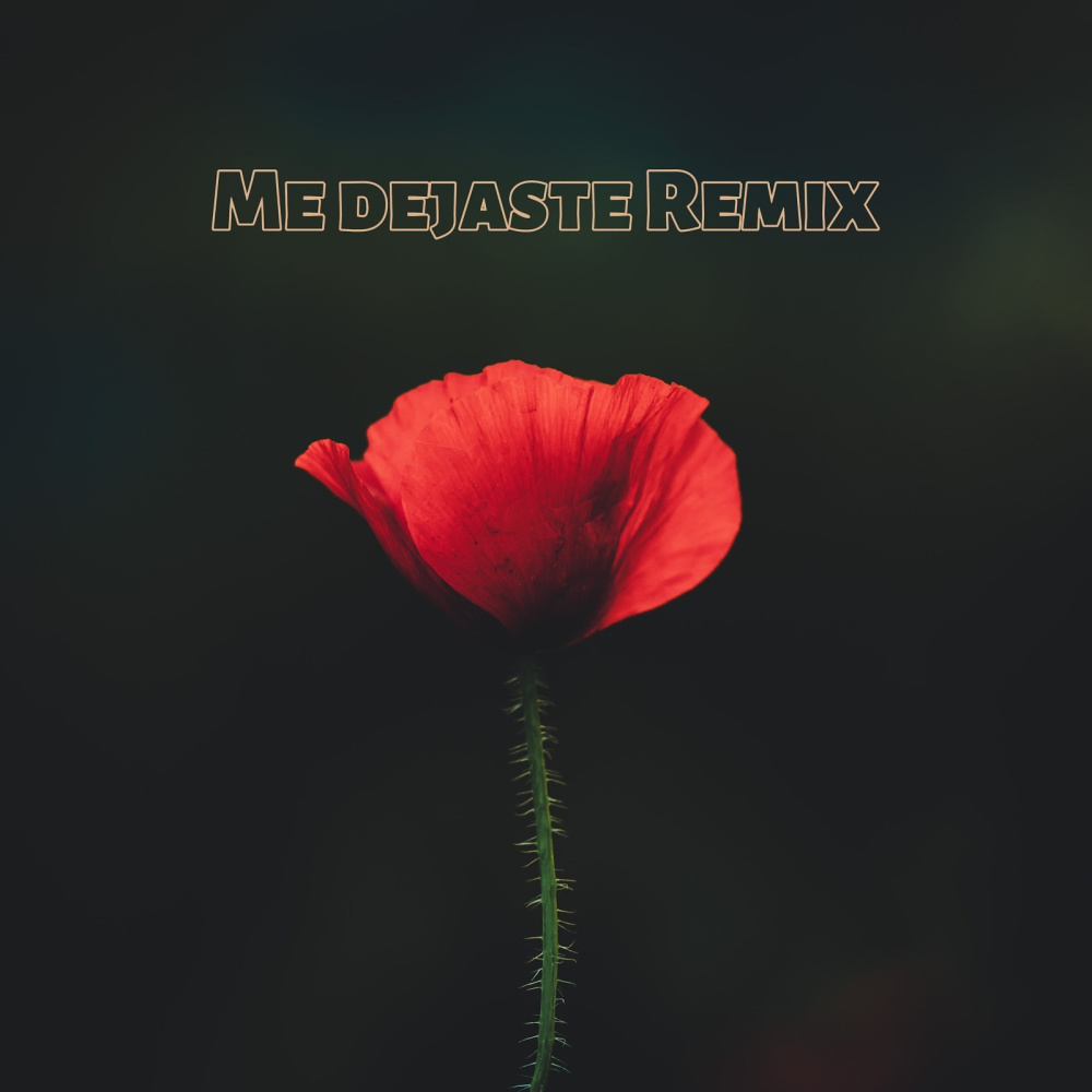 Me Dejaste (Remix)