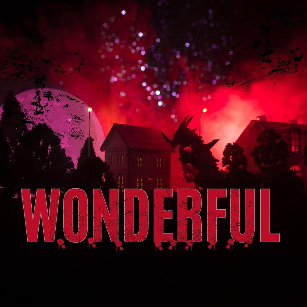Wonderful (feat. Thriz) (Explicit)