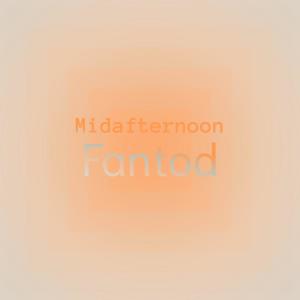 Album Midafternoon Fantod from Various