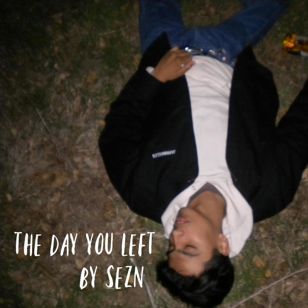 the day you left