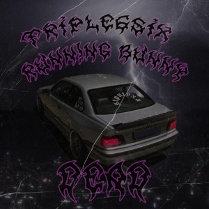 Listen to DEAD (Explicit) song with lyrics from runn!ng bunny