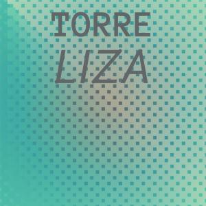 Various Artists的專輯Torre Liza