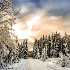 Listen to Immerse into Wisdom song with lyrics from Relaxing Spa Music