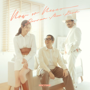 ดาวน์โหลดและฟังเพลง Now or Never พร้อมเนื้อเพลงจาก Karn The Parkinson
