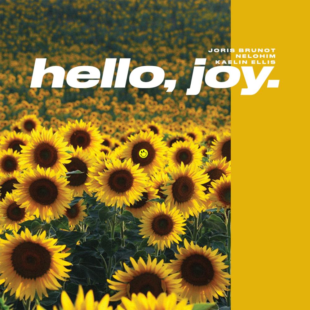 hello, joy. (feat. Nelohim & Kaelin Ellis)