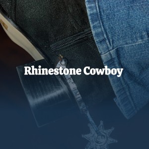 ดาวน์โหลดและฟังเพลง Rhinestone Cowboy พร้อมเนื้อเพลงจาก Ace Cannon