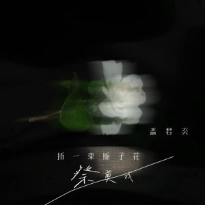 Listen to 折一束栀子花祭奠我 song with lyrics from 盖君炎
