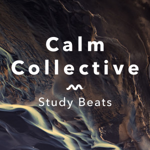 收聽Calm Collective的The Wonder歌詞歌曲