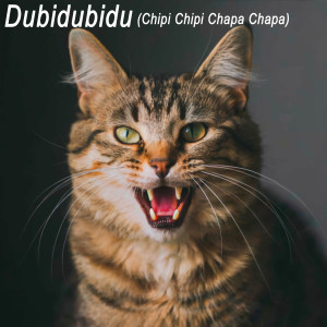 Dubidubidu (Chipi Chipi Chapa Chapa) dari Btrenta Classic