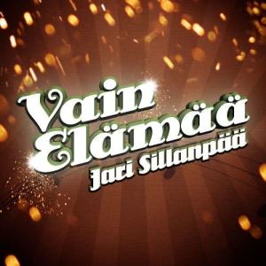 ดาวน์โหลดและฟังเพลง Jealous Sky พร้อมเนื้อเพลงจาก Jari Sillanpää