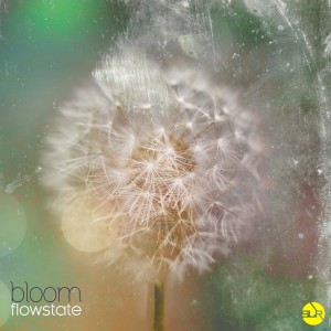 Listen to Sunlight song with lyrics from Bloom
