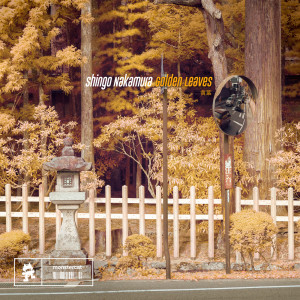 Shingo Nakamura的專輯Golden Leaves