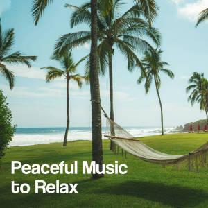 ดาวน์โหลดและฟังเพลง Blissful Serenity พร้อมเนื้อเพลงจาก Relaxation Music