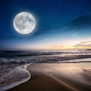 sonido de los sueños的專輯Música Para Dormir Durante Toda La Noche