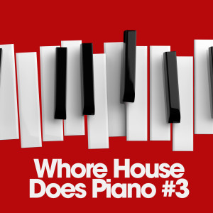 Various的专辑Whore House Does Piano #3 (Explicit)
