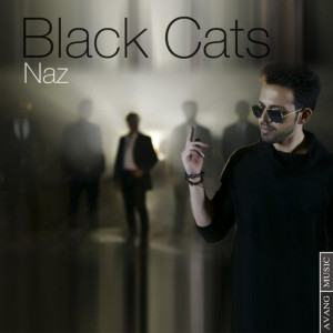 收聽Black Cats的Naz歌詞歌曲