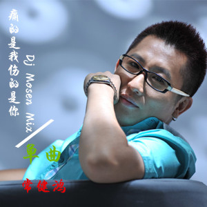 Album 痛的是我伤的是你 from 常健鸿