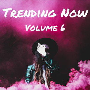 Various Artists的專輯Trending Now Volume 6