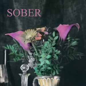Album Sober from Pish