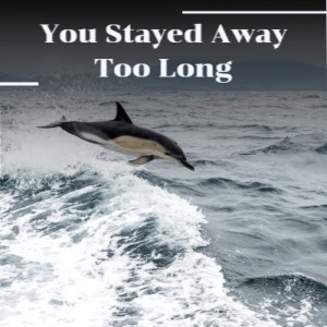 收听United Artists Studio Orchestra的Land Ho (Original Soundtrack from 'Around the World in Eighty Days')歌词歌曲