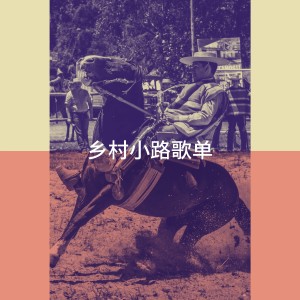 อัลบัม 乡村小路歌单 ศิลปิน Country Music