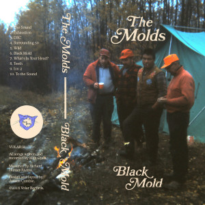 ดาวน์โหลดและฟังเพลง Teeth พร้อมเนื้อเพลงจาก The Molds