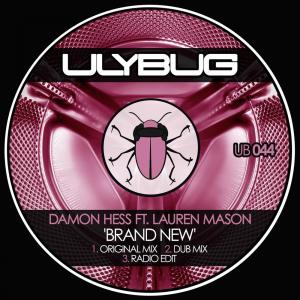 收聽Damon Hess的Brand New (Radio Edit)歌詞歌曲