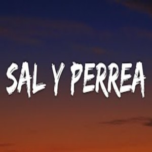 ดาวน์โหลดและฟังเพลง Sal Y Perrea พร้อมเนื้อเพลงจาก TikTok