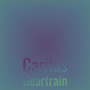 Various Artists的專輯Caritas Geartrain