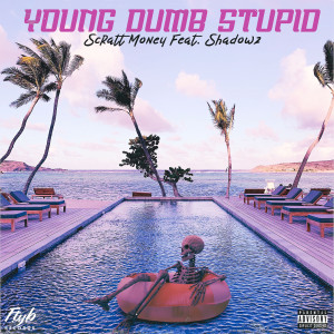 Listen to Young Dumb Stupid (Explicit) song with lyrics from Scratt Money