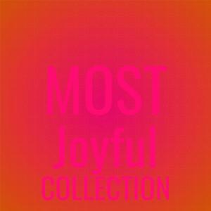 Album Most Joyful Collection from Various